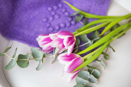 Beautiful bouquet of purple tulips with eucalyptus on a white chair along with a purple sweater. Spring mood, 8 March. Postcard for the holidayの写真素材