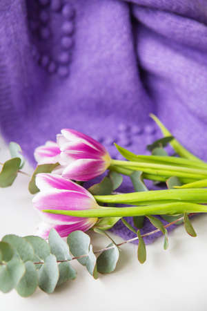 Beautiful bouquet of purple tulips with eucalyptus on a white chair along with a purple sweater. Spring mood, 8 March. Postcard for the holidayの写真素材