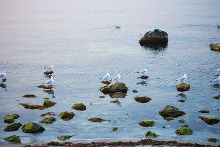 The beautiful sea coast of Bulgaria - Nessebar. Sunset, sea, beachの写真素材