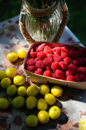 Fresh sweet juicy raspberries in a wooden basket stands close-up on the green grass. Summer, vacation, warmの写真素材