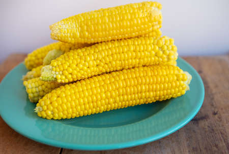 Boiled corn cobs lie on a green plate. Delicious and juicy cornの写真素材