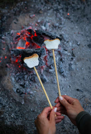 Grilled Bavarian sausages, delicious spit sausages. Shish kebab with sausages on a plate. Outdoor recreationの写真素材