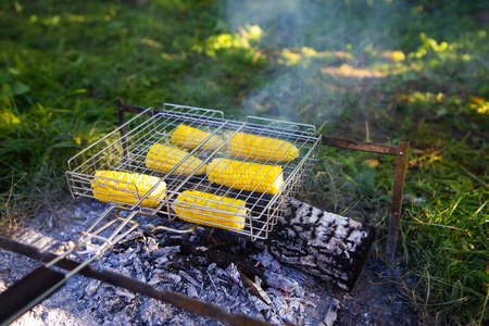 Fried corncobs of yellow juicy corn cooked on a wire rack. Outdoor recreationの写真素材