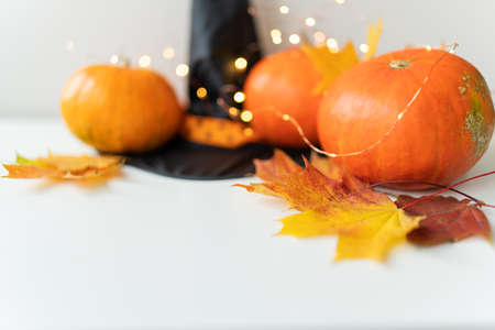 Autumn leaves with pumpkin border at the bottom, black hat, beautiful autumn background. Flashing lights on the background, beautiful bokehの写真素材