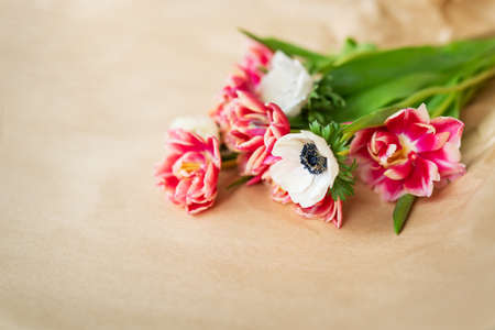 Beautiful red and white bouquet of tulips and anemones in kraft paper. The concept of spring and flowering. With copy spaceの写真素材