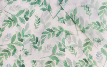 Plastic minimalist envelopes with print in eucalyptus branches. Envelopes for invitations to a...