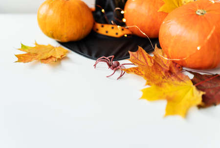 Autumn leaves with pumpkin border at the bottom, black hat, beautiful autumn background. Flashing lights on the background, beautiful bokehの写真素材