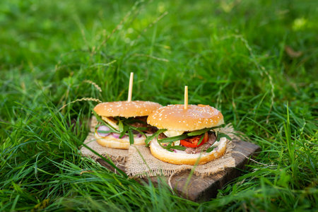 A juicy and tasty burger stands on a board on the green grass in the street outdoors. Close-up, sunny dayの写真素材