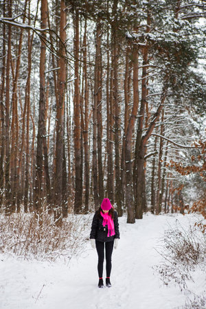 A girl in a pink scarf and hat stands in the middle of a pine forest. Beautiful pine forest on a frosty dayの写真素材