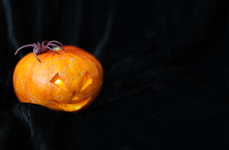 October 31, Halloween - Old Jack-o-Lantern on a black background. The spider sits on a pumpkin. Place for an inscriptionの写真素材