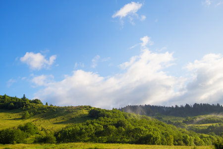 Carpathian nature in summerの写真素材