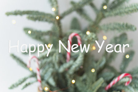 Happy New Year lettering with New Years Eve decoration, conceptual image. Nobilis in a basket of candiesの写真素材