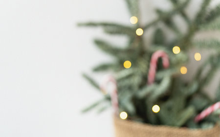 Decorated Christmas tree with candy canes and lights on a blurred background. Preparing for Christmas and New Year 2023の写真素材