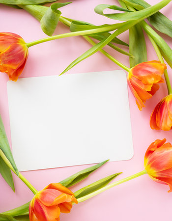 A beautiful bouquet of orange peony tulips along with a white card in the middle isolated on a pink background. vertical photo. Reddy layout for designers, layoutの写真素材