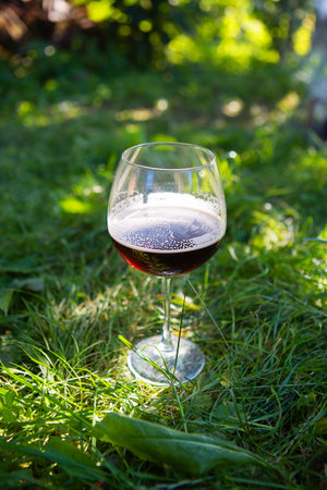 Glass of beer on green grass in public park, beautiful sunlight. The concept of outdoor recreation, picnic with friends or familyの写真素材