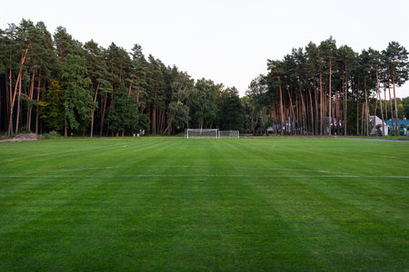 local football. Soccer grass field near a pine forest, outdoor gameの写真素材