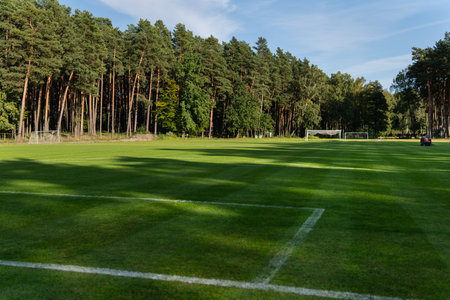local football. Soccer grass field near a pine forest, outdoor gameの写真素材