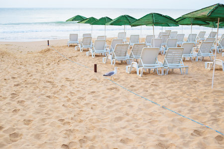 Beautiful chic sea - beach, umbrellas, summer Nessebar Bulgariaの写真素材