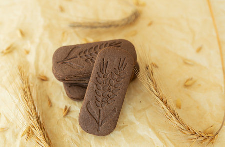 Close-up of a chocolate chip cookie imprinted with a branch of wheat on parchmentの写真素材