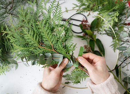 The process of making a Christmas wreath from needles, thuja, shimia, rosehip, pine twigs, chopped twigs for the wreath. The concept of preparation for Christmas and New Yearの写真素材