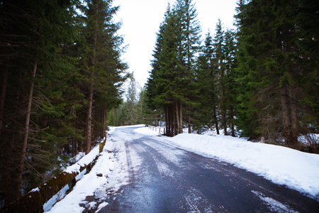 Winter landscape - white and snowy road among trees in a deep forest.の写真素材