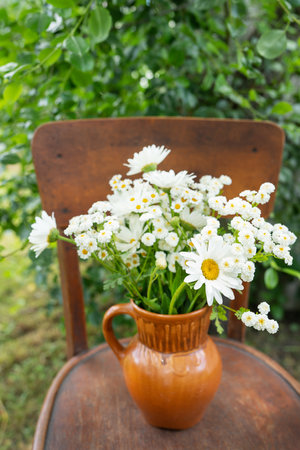 Beautiful chamomile flowers on a wooden rural chair against the backdrop of a green garden. Summer atmosphere, simple home decor in the countryside. Slow life, enjoyの写真素材