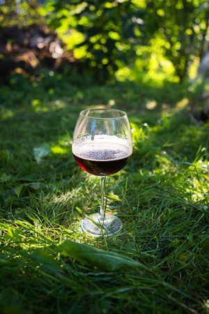 Glass of beer on green grass in public park, green nature. outdoor recreation, picnicの写真素材