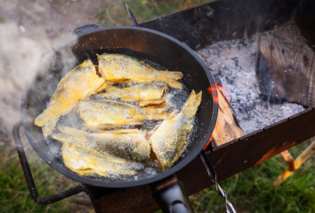 Fish in a pan over an open fire. Summer vacation near the lake, good catch, fresh fishの写真素材