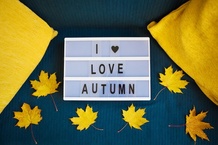 lightbox with yellow leaves on a plaid-inscription I love autumn.の写真素材