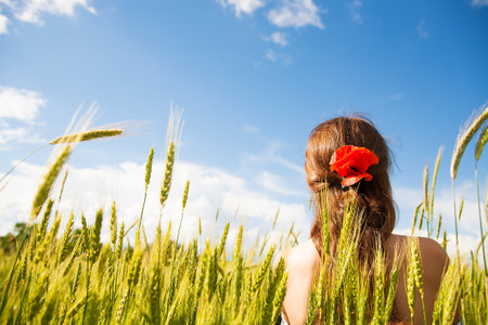 Beautiful girl is standing with her back in a white dress in a wheat field.の写真素材
