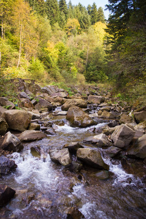 very beautiful autumn panoramas of the Carpathians Ukraine-lake, forest.の写真素材