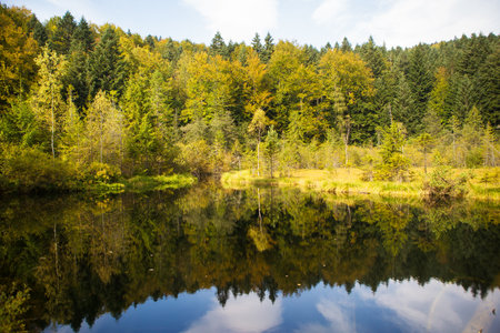 very beautiful autumn panoramas of the Carpathians Ukraine-lake, forest.の写真素材