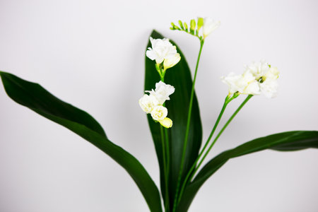 Beautiful composition with fresh freesia in a vase on the table, close-up.の写真素材