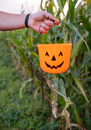 In a corn field, a guy holds an orange bucket with a scary face. Concept for celebrating Halloween on October 31stの写真素材