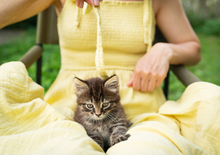 Woman in a yellow dress playing with a small gray tabby kitten in her lap, in a garden settingの写真素材