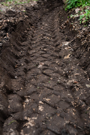 Deep, muddy tire track in the ground, with a blurred greenery background. A sign of off-road adventureの写真素材
