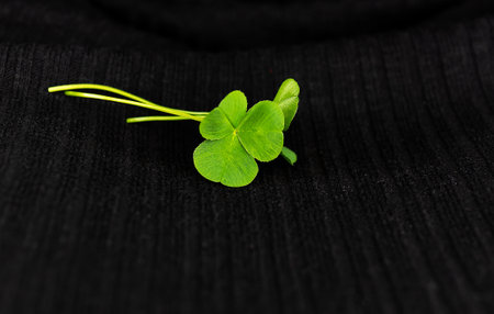 This image features a vibrant green four-leaf clover lying on a dark, textured surface. Clover...