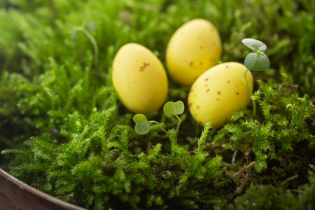 Three speckled yellow eggs nestled in vibrant green moss, depicting a natural, springtime setting