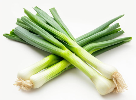 Bouquet of fresh green leeks with white bulbs and bright stems, isolated on a white backgroundの素材