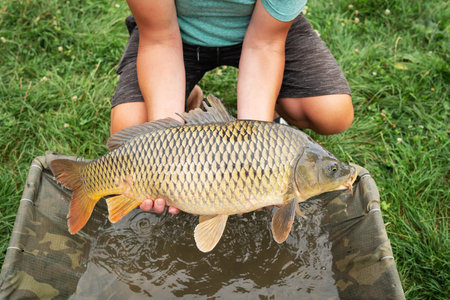 A man holding a freshly caught fish outdoors, with green grass in the background. The fish has golden scales and finsの写真素材