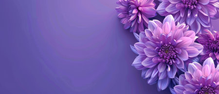 A tranquil array of purple dahlia flowers set against a gradient purple backdrop. Their vibrant hues and intricate petal structures evoke a sense of calm and eleganceの素材