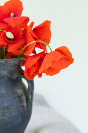 Bright red poppies in a rustic vase against a light background, showing natural beauty and simplicityの写真素材