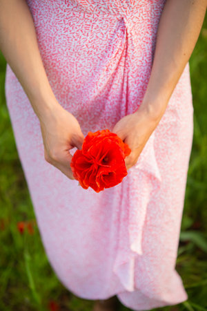 A woman in a pink patterned dress gently holds a vibrant red poppy flower in her hands.の写真素材