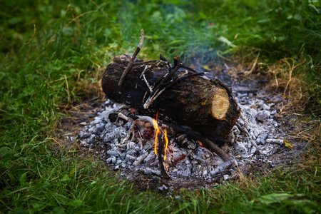 Burning fire in the evening, summer beautiful warm evening. The process of lighting a fireの写真素材