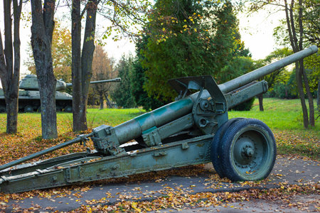 A rusty old military field cannon rests on the ground near a tank, surrounded by autumn leaves.の写真素材