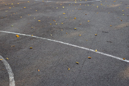 A close-up of an asphalt court with scattered yellow leaves and white lines, signaling the onset of autumn.の写真素材