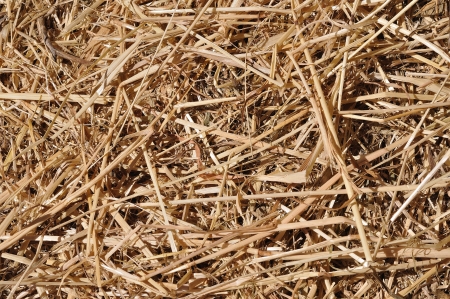 Staw bale, closeupの写真素材