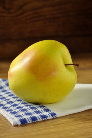 Golden delicious apple, typical of Trentino Alto Adige, Italyの写真素材