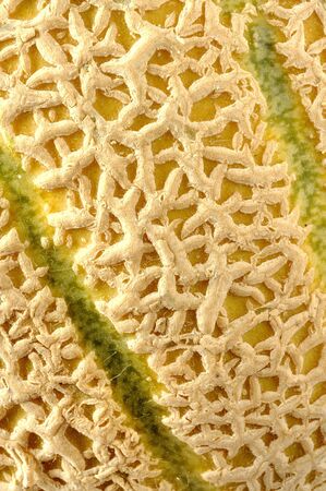 Melon peel, food backgroundの写真素材