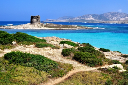 View of La Pelosa beach, characterized by the transparency of its waters and the whiteness of its sand, is considered one of the most beautiful beaches in Sardinia, Italyのeditorial素材